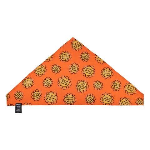 One Piece Bandana & Berry Coins Set Nami - One Piece Figures